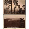 Les Vosges, 2 cartes postales, Mont Sainte-Odile, Andlau forêt , 1920 - Alsace,  forêt vosgienne,
