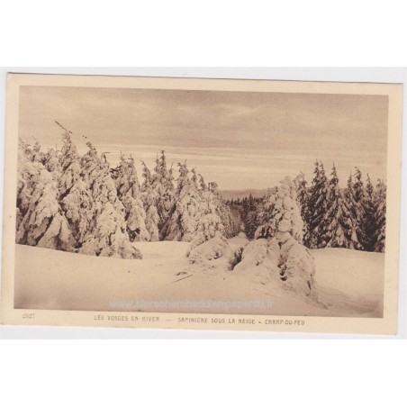 Carte postale Les Vosges en hiver, sapinière sous la neige, Champ-du-Feu, 1920 - Alsace,  forêt vosgienne,