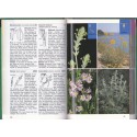 Lebensraum Küste, Fechter, Grau, Reichholf, 1985 -  oiseaux des mers, plantes, océans, botanique,