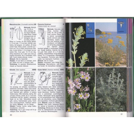Lebensraum Küste, Fechter, Grau, Reichholf, 1985 -  oiseaux des mers, plantes, océans, botanique,