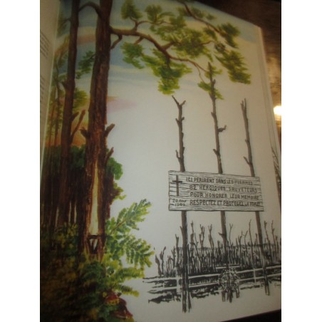 Courage et dévouement, les sapeurs-pompiers au cours des siècles, 1972 - militaire