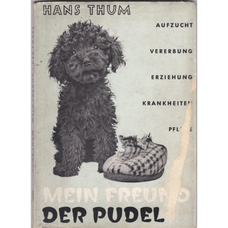 Mein Freund der Pudel, Hans Thum - caniche, chiens, Hund, Tiere