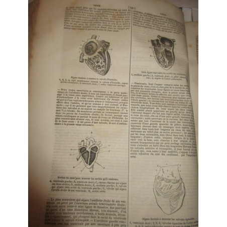 Chemins de fer, en 1840 - Encyclopédie catholique, Abbé Glaire et Le Wash, 1841, Tome 8  - trains, industrie XIXe siècle