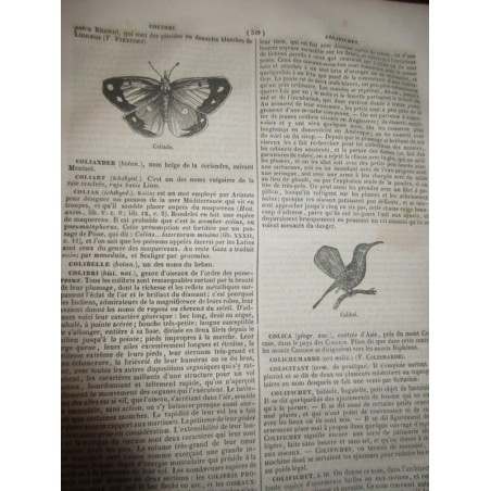 Chemins de fer, en 1840 - Encyclopédie catholique, Abbé Glaire et Le Wash, 1841, Tome 8  - trains, industrie XIXe siècle