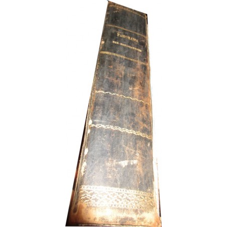 Panorama des prédicateurs ou répertoire pour l'improvisation et la composition du sermon, Abbé Martin, 1860 - liturgie, messe,