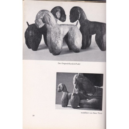 Mein Freund der Pudel, Hans Thum - caniche, chiens, Hund, Tiere