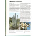Cactus et succulentes - Das grosse Buch der Kakteen und Sukkulenten, Keosen und Van Keppel,  - plantes, botanique, Natur,
