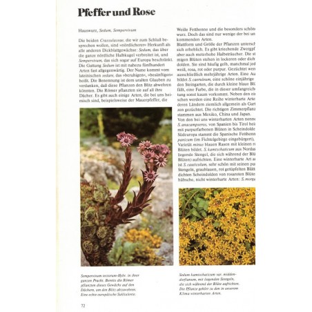 Cactus et succulentes - Das grosse Buch der Kakteen und Sukkulenten, Keosen und Van Keppel,  - plantes, botanique, Natur,