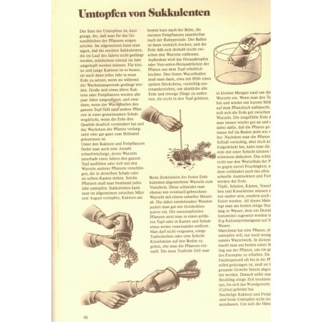 Cactus et succulentes - Das grosse Buch der Kakteen und Sukkulenten, Keosen und Van Keppel,  - plantes, botanique, Natur,