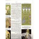 La vie des plantes, Roger Caratini, Bordas Encyclopédie T10 - botanique, sciences naturelles,