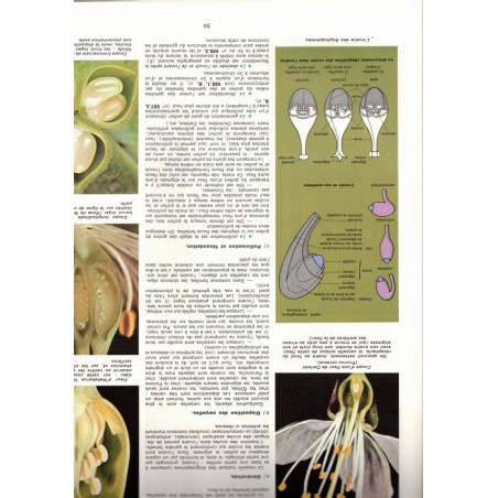 La vie des plantes, Roger Caratini, Bordas Encyclopédie T10 - botanique, sciences naturelles,