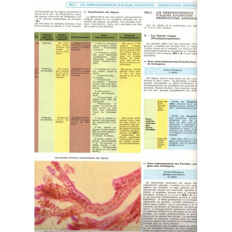 La vie des plantes, Roger Caratini, Bordas Encyclopédie T10 - botanique, sciences naturelles,
