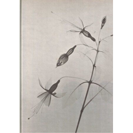 La passion des plantes d'intérieur, Lovell Benjamin, 1975 - plantes d'appartement, botanique,