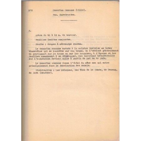 Tapuscrit Pondichéry 1945, Louis Faucheux, arbres utiles arbres d'agrément -, manuscrit, flore, Pondichéry, Indes, botanique,