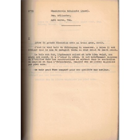 Tapuscrit Pondichéry 1945, Louis Faucheux, arbres utiles arbres d'agrément -, manuscrit, flore, Pondichéry, Indes, botanique,