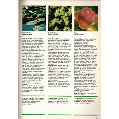 Cultivez les plantes de la fraîcheur, L'école du jardinage N°6 1980- plantes aquatiques, jardinage, botanique, flore, bricolage,