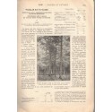 Eaux et forêts, La vie agricole et rurale N°13 1913 - forêts, arbres, revue agricole, botanique,