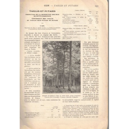 Eaux et forêts, La vie agricole et rurale N°13 1913 - forêts, arbres, revue agricole, botanique,