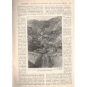 Eaux et forêts, La vie agricole et rurale N°13 1913 - forêts, arbres, revue agricole, botanique,