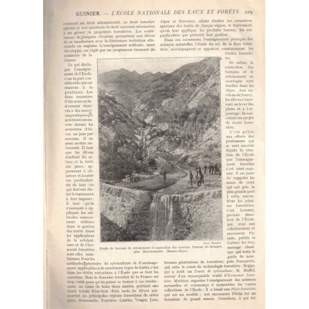 Eaux et forêts, La vie agricole et rurale N°13 1913 - forêts, arbres, revue agricole, botanique,