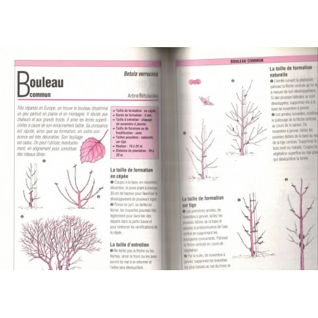 Taillez tous les arbres, arbustes d'ornement, Prat et Retournard, 1994 - botanique, jardinage, arbres,