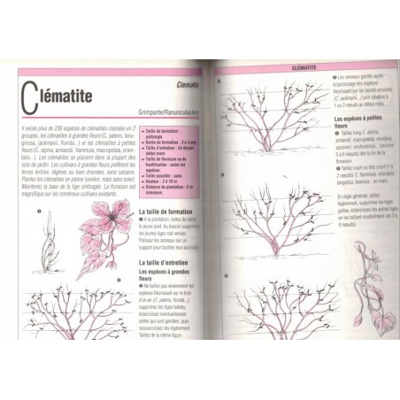 Taillez tous les arbres, arbustes d'ornement, Prat et Retournard, 1994 - botanique, jardinage, arbres,