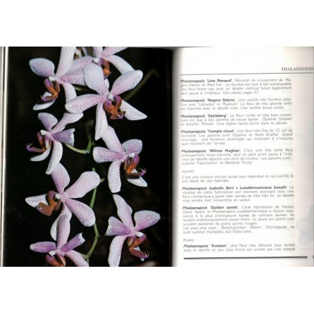 Les orchidées, La vie en vert, Patrick Mioulane 1989 - fleurs, botanique, flore, jardinage,