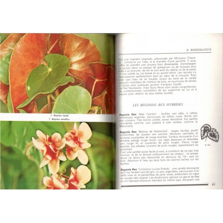 Les bégonias, La vie en vert, Laura Fronty 1989 - fleurs, botanique, flore, jardinage,