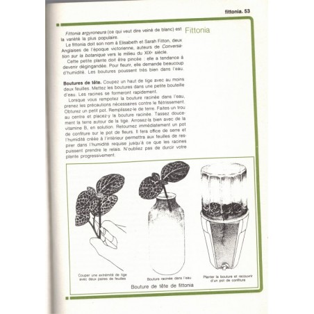 Les boutures de plantes d'appartement, La vie en vert, Suzanne Crayson 1991 - botanique, flore, jardinage,