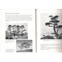 The art of growing miniature trees, plants and landscapes, Tatsuo Ishimoto, 1956  - bonsaï, Japon, botanique, flore, arbres,