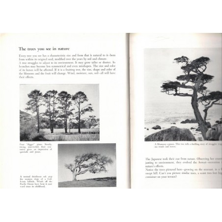 The art of growing miniature trees, plants and landscapes, Tatsuo Ishimoto, 1956  - bonsaï, Japon, botanique, flore, arbres,