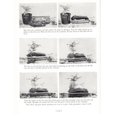 The art of growing miniature trees, plants and landscapes, Tatsuo Ishimoto, 1956  - bonsaï, Japon, botanique, flore, arbres,