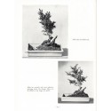 The art of growing miniature trees, plants and landscapes, Tatsuo Ishimoto, 1956  - bonsaï, Japon, botanique, flore, arbres,