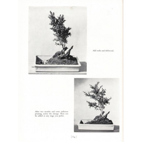 The art of growing miniature trees, plants and landscapes, Tatsuo Ishimoto, 1956  - bonsaï, Japon, botanique, flore, arbres,