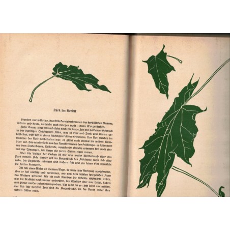 Der Garten ohne Zaum, Hugo Sieker, 1943 - Pflanzen, jardin, botanique, Natur,