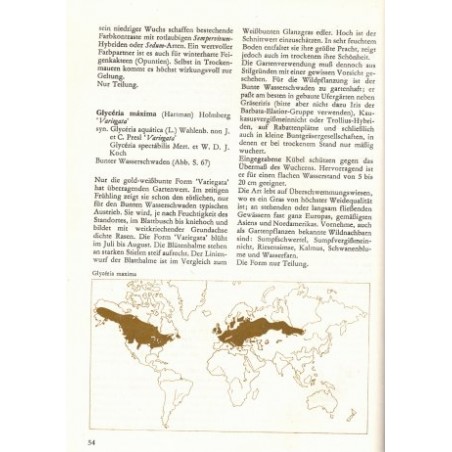 Einzug der Gräser und Farne in die Gärten, Karl Foerster, 1978 - Pflanzen, jardin, fougères, botanique, Natur,