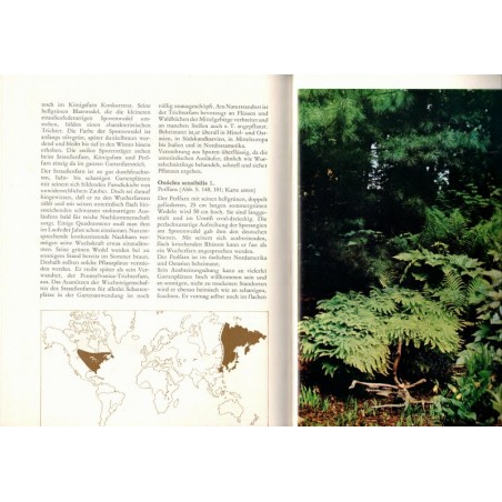 Einzug der Gräser und Farne in die Gärten, Karl Foerster, 1978 - Pflanzen, jardin, fougères, botanique, Natur,