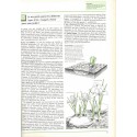 Tout faire dans votre jardin, Stefan Buczacki, 1987 - jardinage, jardin, botanique, bricolage,