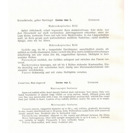 Microphotographic Atlas of Central European Woods, E. Schmidt, 1941 - types de bois en Europe,, arbres, sylviculture