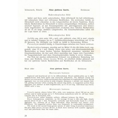Microphotographic Atlas of Central European Woods, E. Schmidt, 1941 - types de bois en Europe,, arbres, sylviculture