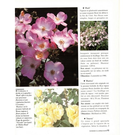 L'amour des roses, Annette Schreiner, 1992 - fleurs, flore, botanique, flore, jardinage,