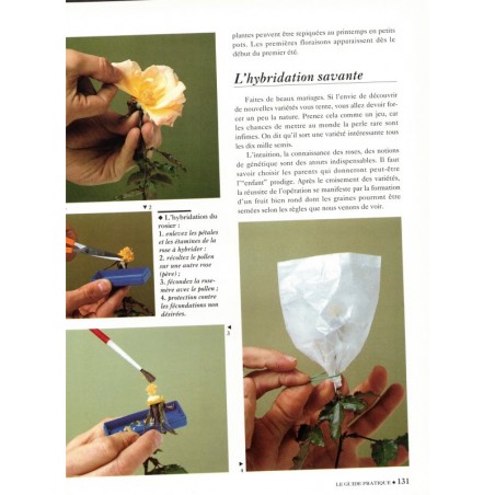 L'amour des roses, Annette Schreiner, 1992 - fleurs, flore, botanique, flore, jardinage,