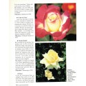 L'amour des roses, Annette Schreiner, 1992 - fleurs, flore, botanique, flore, jardinage,