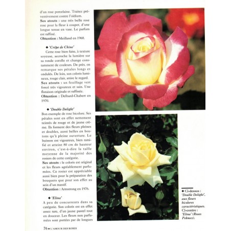L'amour des roses, Annette Schreiner, 1992 - fleurs, flore, botanique, flore, jardinage,