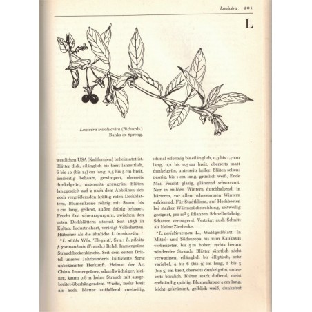 Schöne Blütengehölze, Harri Günther, 1981 - Blümen, Natur, botanique, flore, arbres,