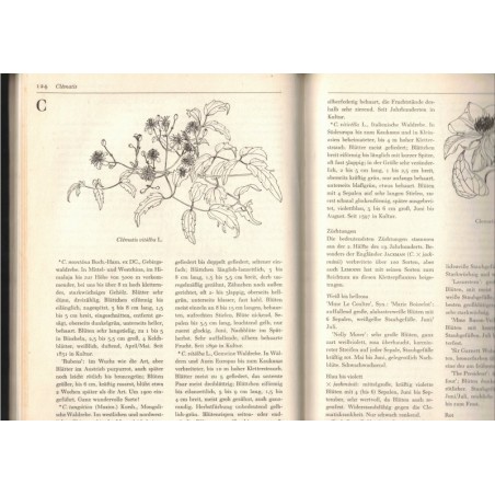 Schöne Blütengehölze, Harri Günther, 1981 - Blümen, Natur, botanique, flore, arbres,