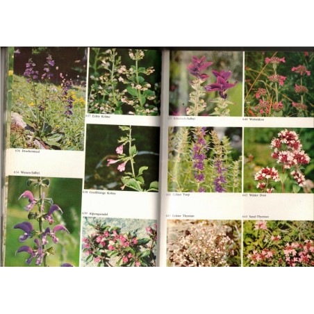 Pflanzen Europas, Oleg Polunin, 1977 - , Natur, botanique, flore, arbres,