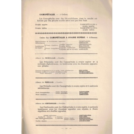 Classification du règle végétal, Seyot, 1928 - manuel pharmacologie, Nancy, manuel sciences naturelles, botanique