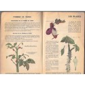 Défendez vous contre les parasites qui détruisent vos récoltes, Georges Truffaut, 1932 -, agriculture, jardinage, botanique,