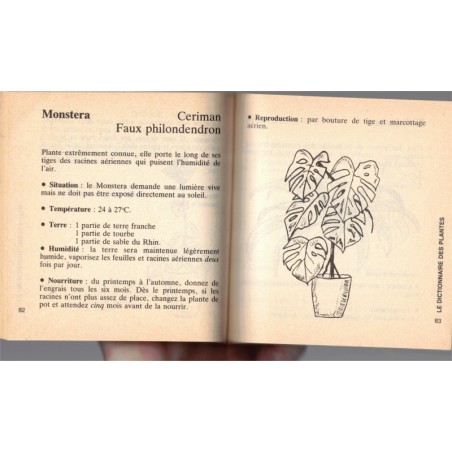 Les plantes d'appartement et l'hydroculture, Michel Saussez, Marabout Flash, 1982 - botanique, flore, jardinage,